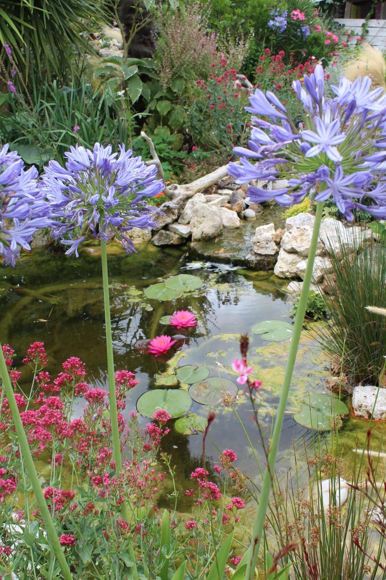 La Douce Charentaise Bed and Breakfast Mérignac Buitenkant foto